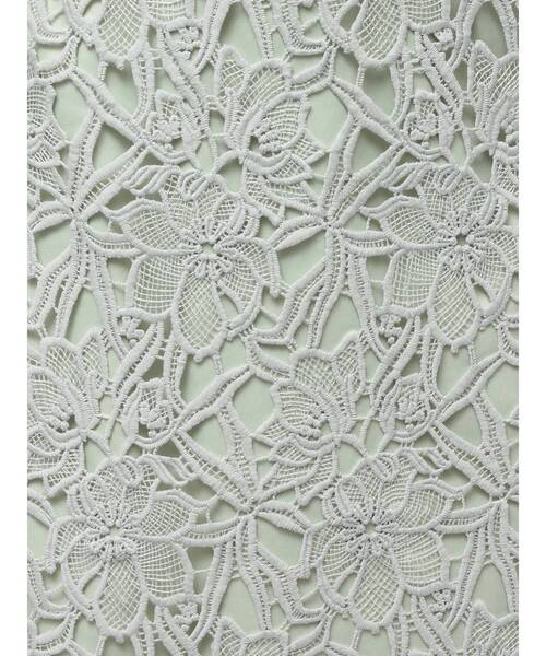 TONAL（トーナル）の「エンブロイダリーレースタイトスカート（スカート・レディース・ミント/モカ/アイボリー・SMALL/MEDIUM）」の20枚目の写真