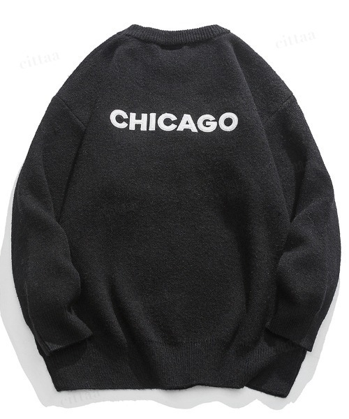 Dalfwin（ダールフィン）の「韓国ファッション CHICAGOバックロゴ刺繍ニット（ニット/セーター・レディース・グリーン/グレー/オフホワイト/ブラック・FREE）」の17枚目の写真