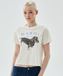 SLIM TSHIRT DDANJI / スリム Tシャツ ダンジ