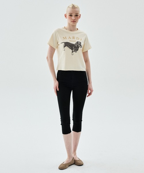 Mardi Mercredi(マルディメクルディ)の「SLIM TSHIRT DDANJI / スリム Tシャツ ダンジ(Tシャツ/カットソー・レディース・アイボリー系2/アイボリー系1/アイボリー系・FREE)」の12枚目の写真