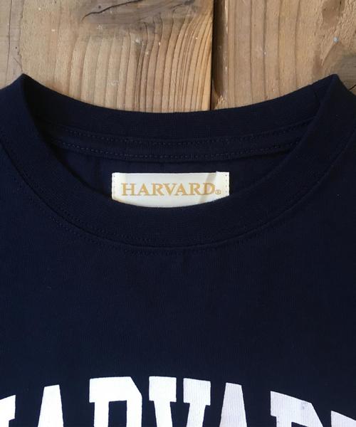 coen（コーエン）の「【coen キッズ / ジュニア】USAコットンカレッジプリントTシャツ(100～150cm)（Tシャツ/カットソー・キッズ・ホワイト/ネイビー・110/130/150/120/100/140）」の19枚目の写真