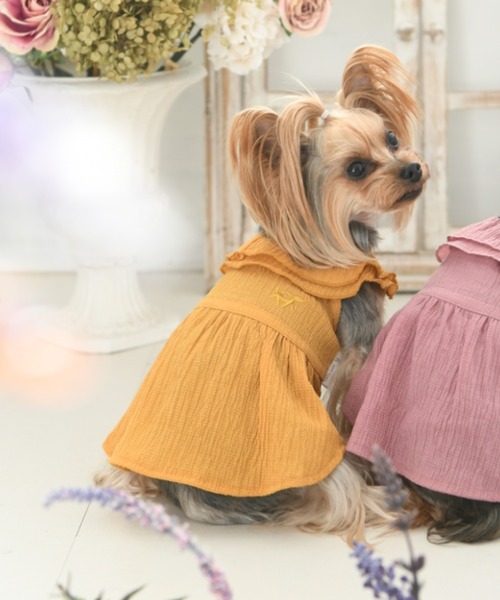Picnic ロペピクニック ビッグカラーナチュラルワンピース 犬服 ドッグウェア ペットウェア Rope ペットウェア Rope Rope ペットグッズ Picnic ロペピクニック のファッション