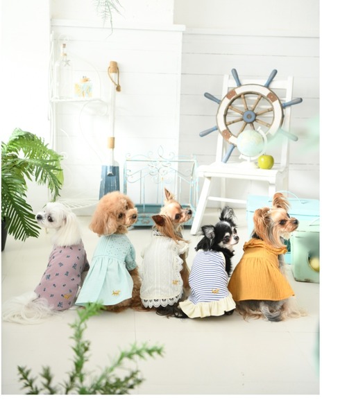 Picnic ロペピクニック ビッグカラーナチュラルワンピース 犬服 ドッグウェア ペットウェア Rope ペットウェア Rope Rope ペットグッズ Picnic ロペピクニック のファッション