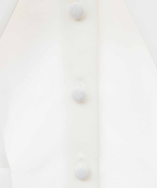 31 Sons de mode(トランテアン ソン ドゥ モード)の「レースビッグカラーブラウス(シャツ/ブラウス・レディース・ブラック/オフホワイト・36)」の15枚目の写真