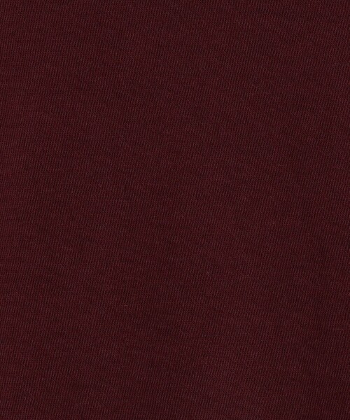JAMES PERSE（ジェームスパース）の「コットンジャージー ラウンジTシャツ MLJ3311（Tシャツ/カットソー・メンズ・ベージュ/ネイビー/ダークパープル・0/1/2）」の14枚目の写真