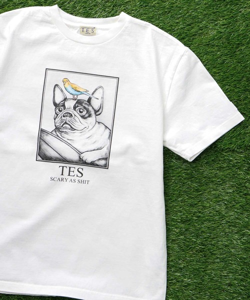 The Endless Summer(エンドレスサマー)の「TES SCARY AS SHIT T-SHIRT / Tシャツ(Tシャツ/カットソー・メンズ・アイボリー/ホワイト・SMALL/MEDIUM/LARGE/X-LARGE)」の2枚目の写真
