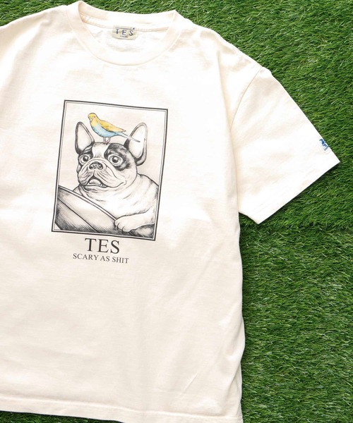 The Endless Summer(エンドレスサマー)の「TES SCARY AS SHIT T-SHIRT / Tシャツ(Tシャツ/カットソー・メンズ・アイボリー/ホワイト・SMALL/MEDIUM/LARGE/X-LARGE)」の1枚目の写真