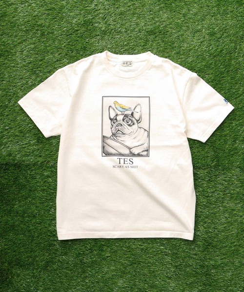 The Endless Summer(エンドレスサマー)の「TES SCARY AS SHIT T-SHIRT / Tシャツ(Tシャツ/カットソー・メンズ・アイボリー/ホワイト・SMALL/MEDIUM/LARGE/X-LARGE)」の3枚目の写真
