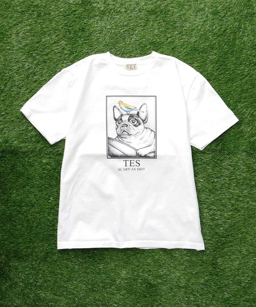 The Endless Summer(エンドレスサマー)の「TES SCARY AS SHIT T-SHIRT / Tシャツ(Tシャツ/カットソー・メンズ・アイボリー/ホワイト・SMALL/MEDIUM/LARGE/X-LARGE)」の4枚目の写真