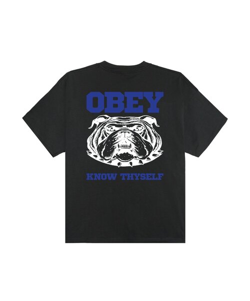 OBEY(オベイ)の「【OBEY】 KNOW THYSELF(Tシャツ/カットソー・レディース・ホワイト/ブラック・SMALL)」の4枚目の写真