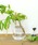 KINTOiLg[j́uKINTO LUNA Base Lg[ i x[X KXt[x[X Eh ԕr 360mlit[x[XjvbNA