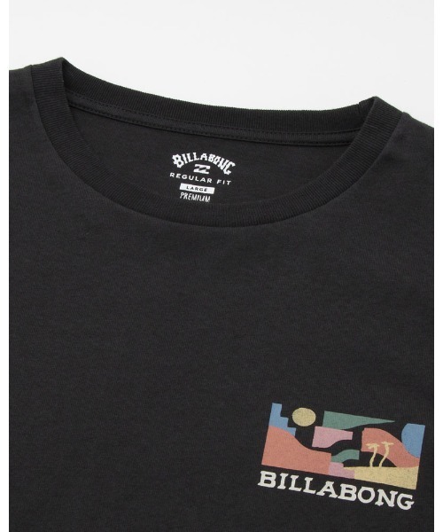BILLABONG(ビラボン)の「BILLABONG メンズ SEGMENT Tシャツ 【2022年夏モデル】/ビラボン半袖Tシャツ(Tシャツ/カットソー・メンズ・ホワイト/ライトブルー/ホワイト×ブラック・MEDIUM/LARGE)」の11枚目の写真