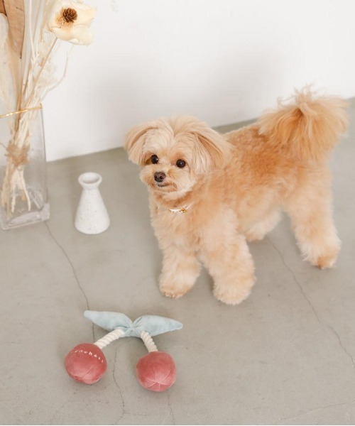 moncheri（モンシェリ）の「さくらんぼロープぬいぐるみ【鳴き笛＆カシャカシャ音の鳴る仕様・デンタルケア効果・引っ張り合いっこ】（ペット用おもちゃ・レディース・ピンク・FREE）」の4枚目の写真