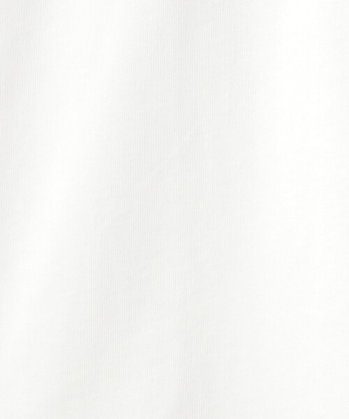 green label relaxing（グリーンレーベルリラクシング）の「＜Phospho Graphica＞グラフィック ロングスリーブ Tシャツ（Tシャツ/カットソー・メンズ・その他2/その他3/その他1・S/M/L）」の16枚目の写真