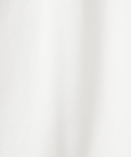 green label relaxing（グリーンレーベルリラクシング）の「＜Phospho Graphica＞グラフィック ロングスリーブ Tシャツ（Tシャツ/カットソー・メンズ・その他2/その他3/その他1・S/M/L）」の21枚目の写真