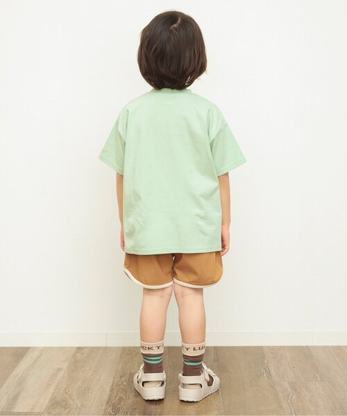 BREEZE（ブリーズ）の「ロゴ・ボーダーソックス（ソックス/靴下・キッズ・ネイビー/ブラウン/オフホワイト/イエロー/ブルー/グリーン・15 /18/21）」の9枚目の写真