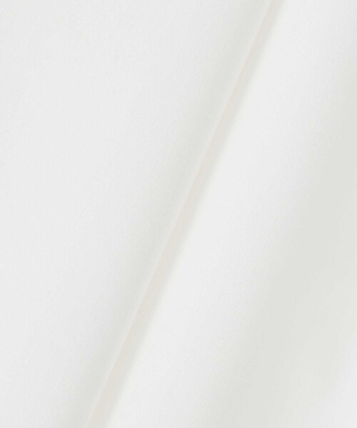 ANAYI（アナイ）の「ブロードレース切り替えスリーブ ブラウス（シャツ/ブラウス・レディース・ホワイト・36/38）」の2枚目の写真