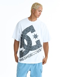 DC SHOES メンズ 26 BIGSTAR SS Tシャツ 【2026年春夏モデル】