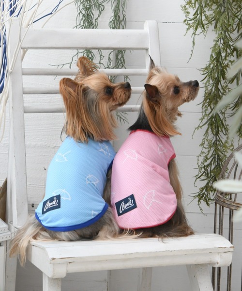犬服　XLARGE  Arnold Palmer  3点セット 犬服 XLARGE Arnold Palmer 3点セット Arnold Palmer