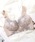 Lace Ladies�i���[�X���f�B�[�X�j�́u�`���[���t�� �G���K���g �t�����[ ���[�X �m�����C���[ �u���i�u���W���[�j�v�b�O���C�b�V���x�[�W��