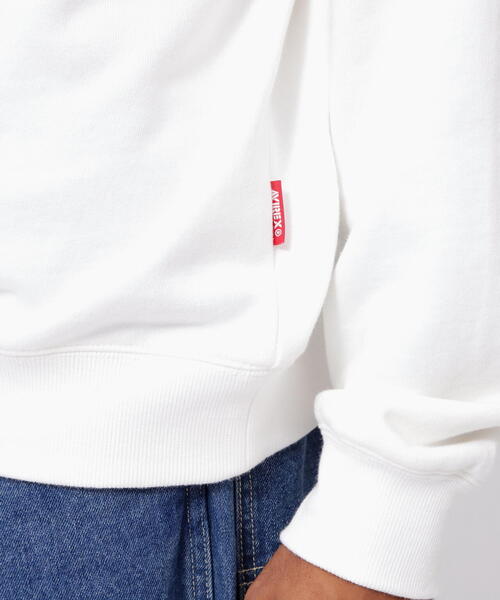 AVIREX(アヴィレックス)の「《WEB&DEPOT限定》TAPESTORY OF NEWYORK CREWNECK SWEAT(スウェット・メンズ・レッド系その他4/チャコールグレー/ホワイト・F)」の19枚目の写真