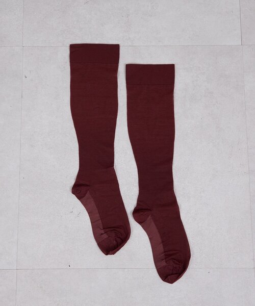GALLARDAGALANTE（ガリャルダガランテ）の「【MAEE】シアーソックス（ソックス/靴下・レディース・ブラック/ボルドー・FREE）」の8枚目の写真