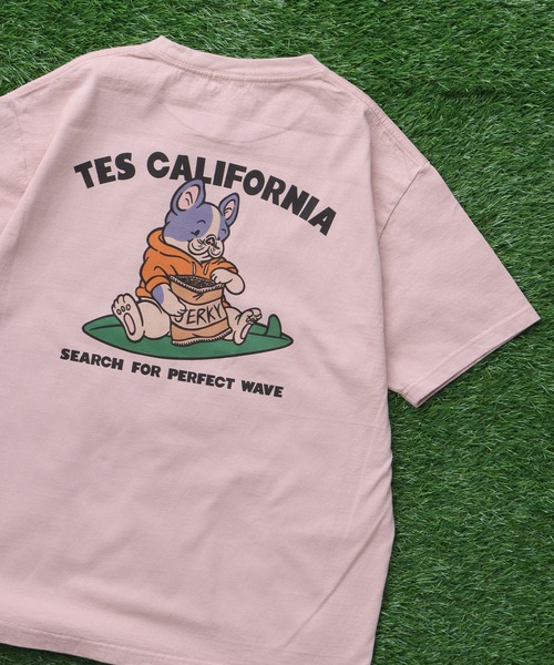 The Endless Summer（エンドレスサマー）の「TES BUHI The Boo-TEE / Tシャツ（Tシャツ/カットソー・メンズ・ホワイト/グレー/アイボリー/ピンク・SMALL/MEDIUM/LARGE/X-LARGE/XX-LARGE）」の5枚目の写真