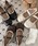 Nia�i�j�A�j�́uNia(�j�A)/���[�X�t���o���G�V���[�Y�i�o���G�V���[�Y�j�v�b�A�C�{���[