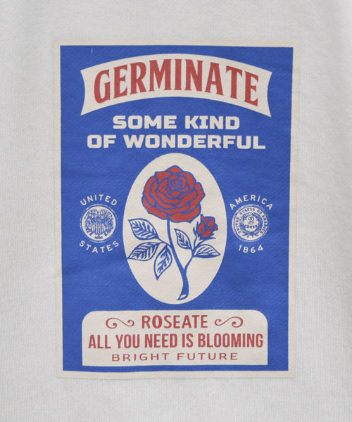 kutir（クティール）の「【クティールフルギ】レトロバラプリントスウェット（Tシャツ/カットソー・メンズ・チャコールグレー/オフホワイト/ライトグリーン・MEDIUM/LARGE）」の10枚目の写真