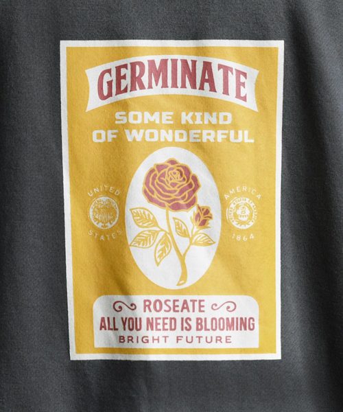 kutir（クティール）の「【クティールフルギ】レトロバラプリントスウェット（Tシャツ/カットソー・メンズ・チャコールグレー/オフホワイト/ライトグリーン・MEDIUM/LARGE）」の17枚目の写真