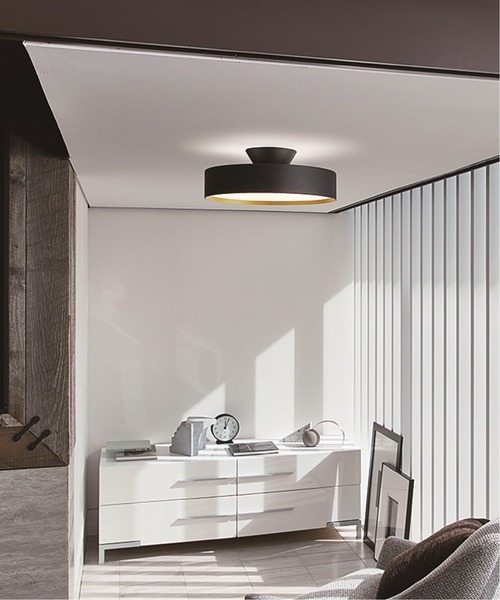 journal standard Furniture （ジャーナルスタンダードファニチャー）の「【ART WORK STUDIO】グロー4000LEDシーリング ランプ ～約8畳用（照明・レディース・ブラックミックス/ブラック系その他・FREE）」の19枚目の写真