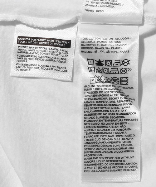 Levi's（リーバイス）の「GRAPHIC RINGER Tシャツ WAVING SW WHITE（Tシャツ/カットソー・メンズ・マルチ・S/M/L）」の7枚目の写真