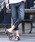 LUXSTYLE�i���O�X�^�C���j�́u�f�j���N���b�v�h�p���c�i�f�j���p���c�j�v�b�C���f�B�S�u���[