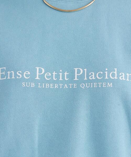 Goodwear(Since1983)(グッドウェア)の「【別注】<Goodwear>ロングスリーブ プリント スウェット プルオーバー(スウェット・レディース・ネイビー/ライトブルー/グレー・FREE)」の11枚目の写真