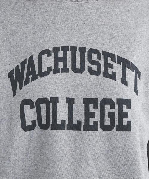 Goodwear(Since1983)(グッドウェア)の「【別注】<Goodwear>ロングスリーブ プリント スウェット プルオーバー(スウェット・レディース・ネイビー/ライトブルー/グレー・FREE)」の13枚目の写真