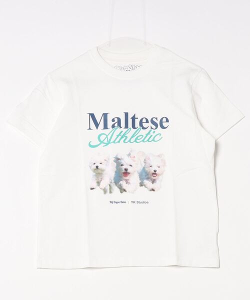 【セール】WaiKei×MSB Maltese Athletic Tee（Tシャツ/カットソー）｜My sugar Babe（マイシュガーベイブ）