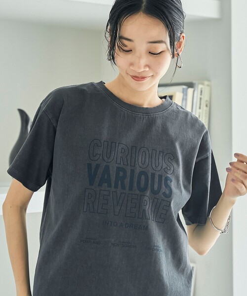 coen(コーエン)の「ピグメントアソートロゴプリントTシャツ24FW(Tシャツ/カットソー・レディース・ブラウン/オフホワイト/ダークグレー・M/L)」の10枚目の写真