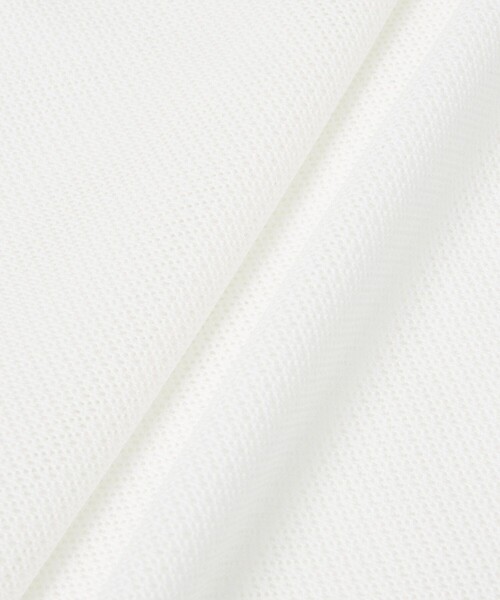 ANAYI（アナイ）の「ラッセルメッシュ プルオーバー（Tシャツ/カットソー・レディース・ホワイト/ブラック・36/38）」の12枚目の写真