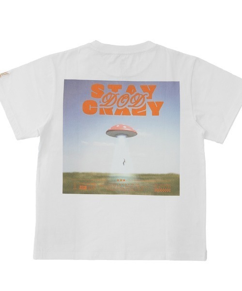 DOD（ディーオーディー）の「ディーオーディー DOD アウトドアカジュアル 半袖Ｔシャツ（Tシャツ/カットソー・メンズ・ブラック/ホワイト・XL/M/L）」の15枚目の写真