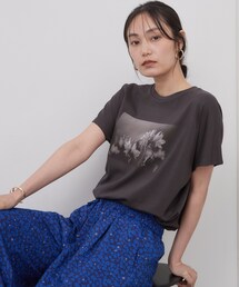OPAQUE.CLIP | フォトプリントTシャツ【洗濯機OK】(Tシャツ/カットソー)