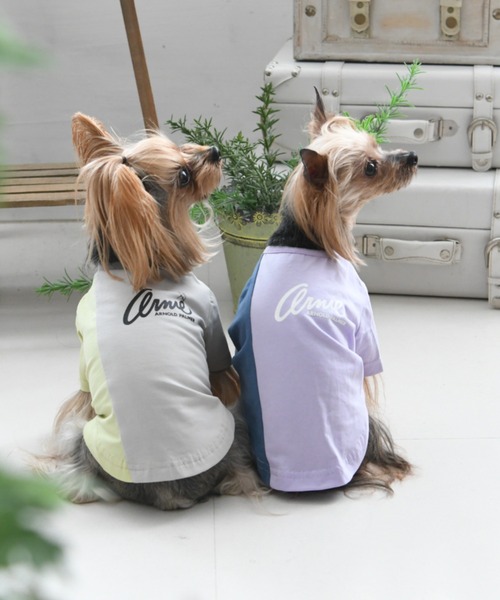 犬服　XLARGE  Arnold Palmer  3点セット Arnold Palmer（アーノルドパーマー） | 犬服・ドックウェア