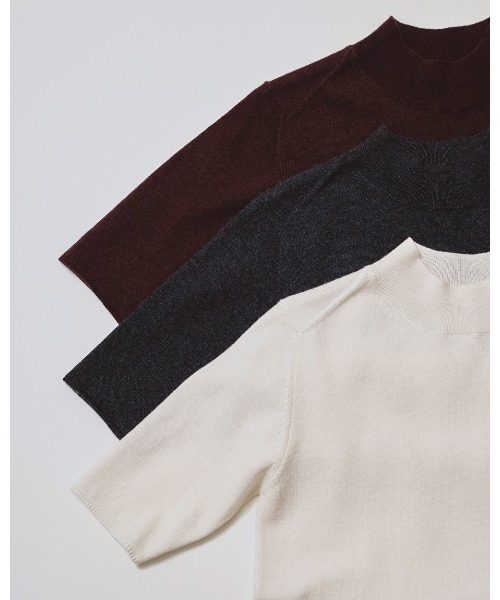 TODAYFUL(トゥデイフル)の「Halfsleeve Highgauge Knit(Tシャツ/カットソー・レディース・バーガンディー/キナリ/チャコールグレー・FREE)」の8枚目の写真