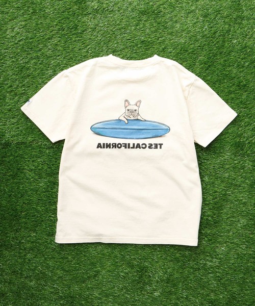 The Endless Summer（エンドレスサマー）の「TES BUHI SURFER T-SHIRT / Tシャツ（Tシャツ/カットソー・メンズ・グレー/アイボリー/ホワイト/ベージュ・SMALL/MEDIUM/LARGE/X-LARGE/XX-LARGE）」の6枚目の写真