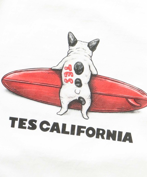 The Endless Summer（エンドレスサマー）の「TES BUHI SURFER T-SHIRT / Tシャツ（Tシャツ/カットソー・メンズ・グレー/アイボリー/ホワイト/ベージュ・SMALL/MEDIUM/LARGE/X-LARGE/XX-LARGE）」の13枚目の写真