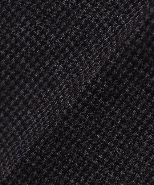 BRILLA per il gusto(ブリッラペルイルグースト)の「【別注】giabsarchivio / MASACCIO ミックスファブリック 1プリーツ ドローコードスラックス(その他パンツ・メンズ・ブラック/チャコールグレー/ブラウン・48/46/44/50)」の14枚目の写真