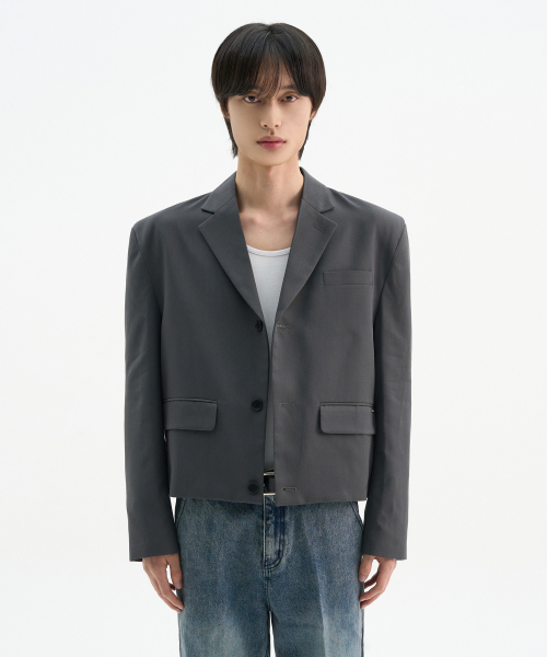 TRIP LE SENS(トリップ ル センス)の「カスタム3Bクロップブレザー_グレー(テーラードジャケット・メンズ・その他・MEDIUM/LARGE)」の1枚目の写真