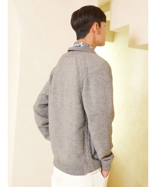 AYIHOLIC CASHMERE(アイホリックカシミア)の「ハーフジップポロニット メランジグレー #5COLOR(ニット/セーター・レディース・その他・L/M)」の2枚目の写真