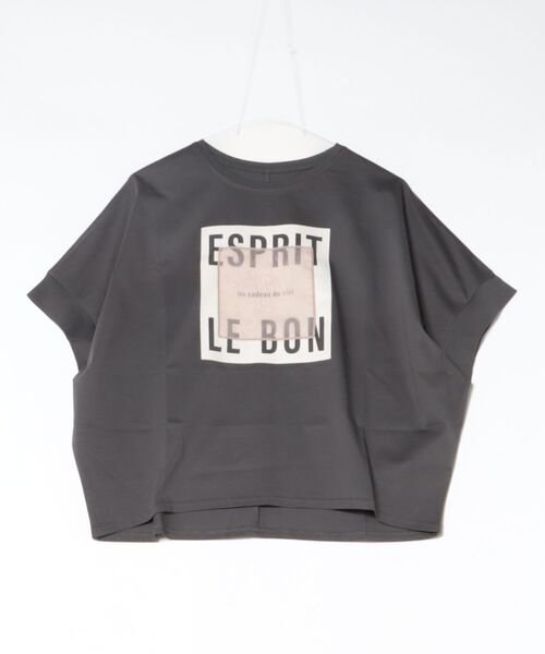 Jines（ジネス）の「オーガンジーロゴTシャツ（Tシャツ/カットソー・レディース・チャコールグレー/ホワイト・38）」の2枚目の写真