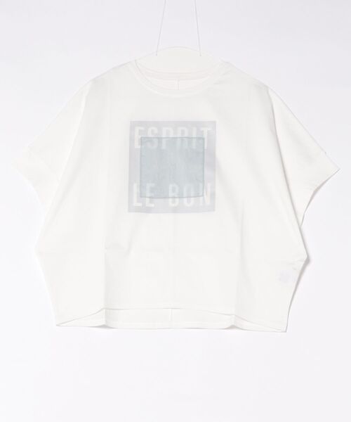 Jines(ジネス)の「オーガンジーロゴTシャツ(Tシャツ/カットソー・レディース・チャコールグレー/ホワイト・38)」の4枚目の写真