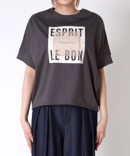 Jines(ジネス)の「オーガンジーロゴTシャツ(Tシャツ/カットソー・レディース・チャコールグレー/ホワイト・38)」の8枚目の写真